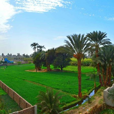 Farida Apartments Luxor Exterior foto